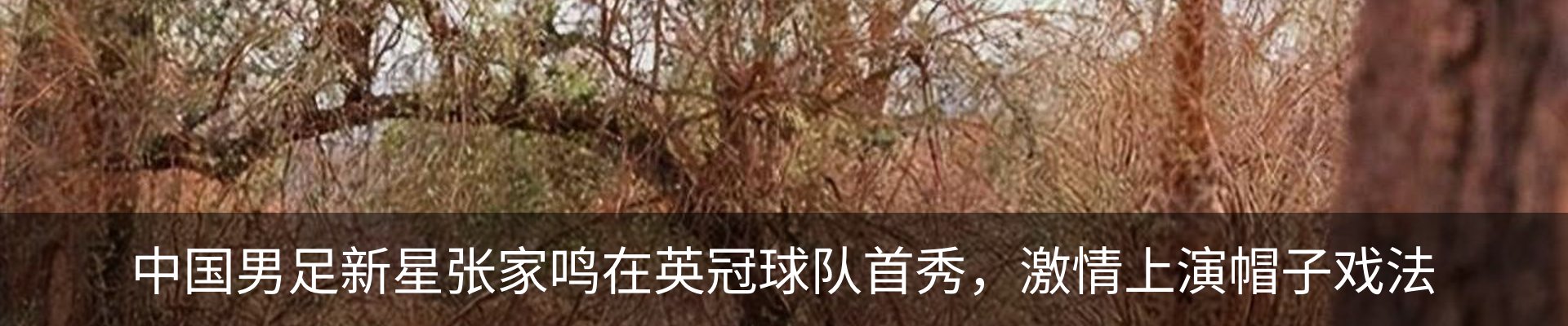 新闻中心